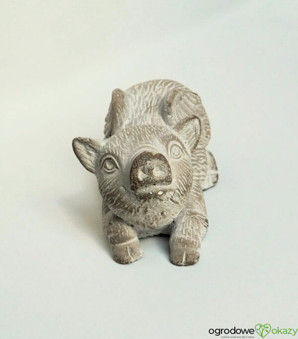LATAJĄCA ŚWINIA, BETONOWA FIGURA, flyingpig, solidna i ciężka figura do domu lub ogrodu, z szarego betonu z białą farbą w stylu vintage, ma drobne dwa ubytki, jest nowa, z pozytywnym przekazem