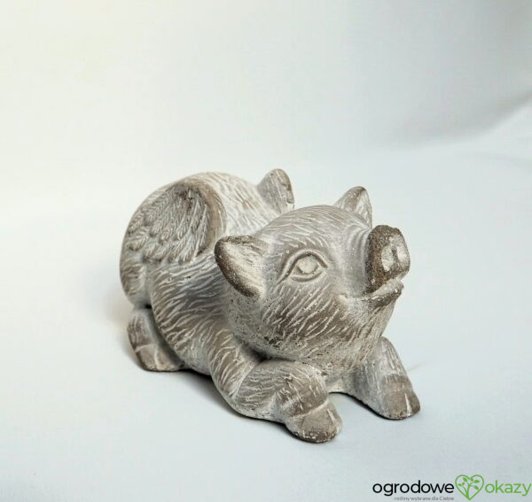 LATAJĄCA ŚWINIA, BETONOWA FIGURA, flyingpig, solidna i ciężka figura do domu lub ogrodu, z szarego betonu z białą farbą w stylu vintage, ma drobne dwa ubytki, jest nowa, z pozytywnym przekazem