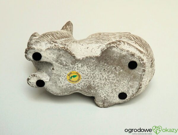 LATAJĄCA ŚWINIA, BETONOWA FIGURA, flyingpig, solidna i ciężka figura do domu lub ogrodu, z szarego betonu z białą farbą w stylu vintage, ma drobne dwa ubytki, jest nowa, z pozytywnym przekazem